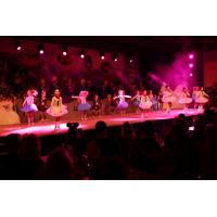 Prunksitzung_2023_396 - Kopie - Kopie - Kopie.jpg